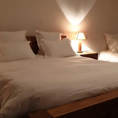 Hotel De Savoie